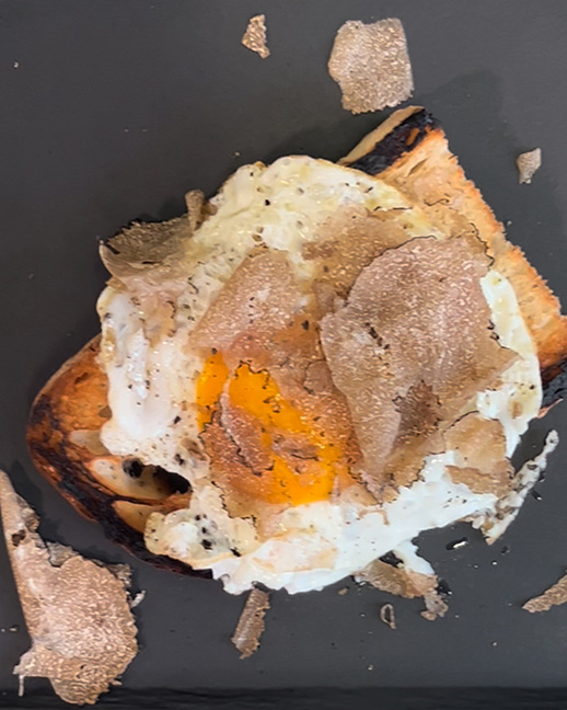 festival dello scorzone